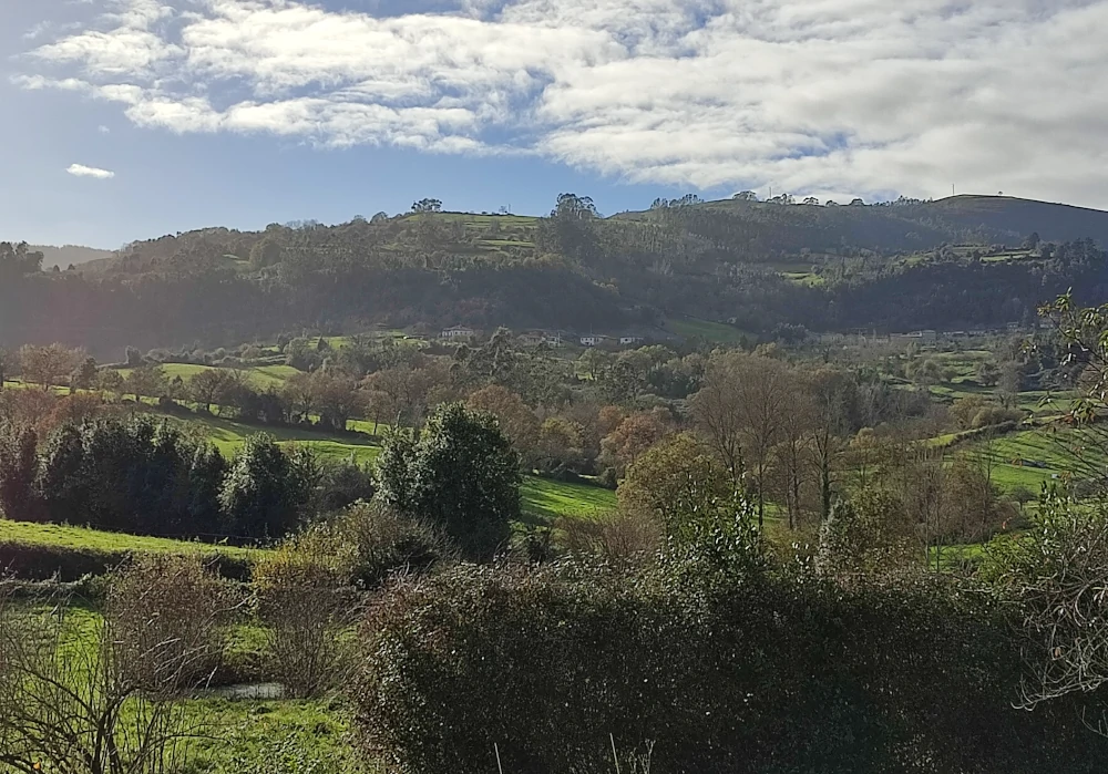 Finca Maria Luz Garcia